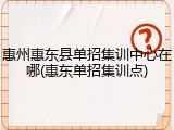 惠州惠东县单招集训中心在哪(惠东单招集训点)