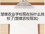 楚雄农业学校现在叫什么技校了(楚雄农校现名)