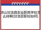 凉山甘洛县农业职高学校怎么样啊(甘洛农职校如何)