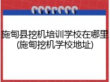 施甸县挖机培训学校在哪里(施甸挖机学校地址)