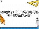 铜陵狮子山单招培训班有哪些(铜陵单招培训)