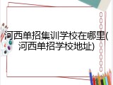 河西单招集训学校在哪里(河西单招学校地址)