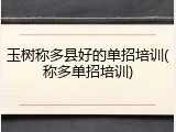 玉树称多县好的单招培训(称多单招培训)