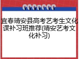 宜春靖安县高考艺考生文化课补习班推荐(靖安艺考文化补习)