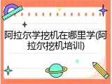 阿拉尔学挖机在哪里学(阿拉尔挖机培训)