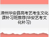 漳州华安县高考艺考生文化课补习班推荐(华安艺考文化补习)