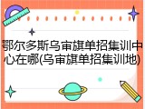 鄂尔多斯乌审旗单招集训中心在哪(乌审旗单招集训地)