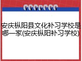 安庆枞阳县文化补习学校是哪一家(安庆枞阳补习学校)