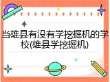 当雄县有没有学挖掘机的学校(雄县学挖掘机)