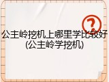 公主岭挖机上哪里学比较好(公主岭学挖机)