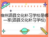 宿州泗县文化补习学校是哪一家(泗县文化补习学校)