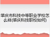 肇庆市科技中等职业学校怎么样(肇庆科技职校如何)