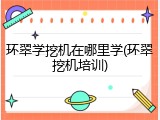 环翠学挖机在哪里学(环翠挖机培训)