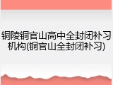 铜陵铜官山高中全封闭补习机构(铜官山全封闭补习)
