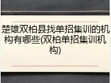 楚雄双柏县找单招集训的机构有哪些(双柏单招集训机构)
