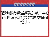 楚雄哪有数控编程培训中心中职怎么样(楚雄数控编程培训)