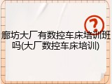 廊坊大厂有数控车床培训班吗(大厂数控车床培训)