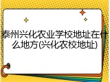 泰州兴化农业学校地址在什么地方(兴化农校地址)