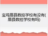 宝鸡眉县数控学校有没有(眉县数控学校有吗)
