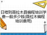 日喀则聂拉木县编程培训学费一般多少钱(聂拉木编程培训费用)