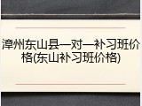 漳州东山县一对一补习班价格(东山补习班价格)