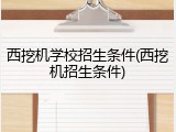西挖机学校招生条件(西挖机招生条件)