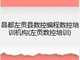 昌都左贡县数控编程数控培训机构(左贡数控培训)