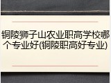 铜陵狮子山农业职高学校哪个专业好(铜陵职高好专业)