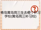 青岛黄岛高三生去哪个补习学校(黄岛高三补习校)