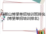马鞍山博望单招培训班排名(博望单招培训排名)