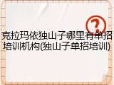 克拉玛依独山子哪里有单招培训机构(独山子单招培训)
