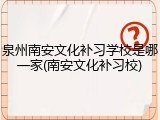 泉州南安文化补习学校是哪一家(南安文化补习校)