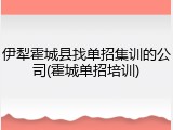伊犁霍城县找单招集训的公司(霍城单招培训)