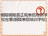 铜陵铜陵县正规单招培训学校在哪(铜陵单招培训学校)