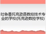 吐鲁番托克逊县数控技术专业的学校(托克逊数控学校)
