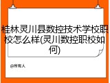 桂林灵川县数控技术学校职校怎么样(灵川数控职校如何)