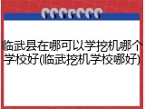 临武县在哪可以学挖机哪个学校好(临武挖机学校哪好)