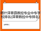 喀什泽普县数控专业中专学校排名(泽普数控中专排名)