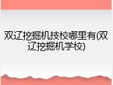 双辽挖掘机技校哪里有(双辽挖掘机学校)