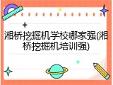湘桥挖掘机学校哪家强(湘桥挖掘机培训强)
