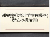 都安挖机培训学校有哪些(都安挖机培训)