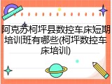 阿克苏柯坪县数控车床短期培训班有哪些(柯坪数控车床培训)