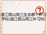 湛江霞山高三生去哪个补习学校(湛江霞山高三补习校)