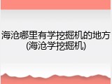 海沧哪里有学挖掘机的地方(海沧学挖掘机)