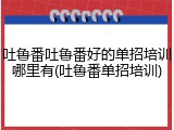 吐鲁番吐鲁番好的单招培训哪里有(吐鲁番单招培训)