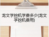 龙文学挖机学费多少(龙文学挖机费用)