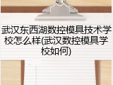 武汉东西湖数控模具技术学校怎么样(武汉数控模具学校如何)