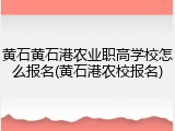 黄石黄石港农业职高学校怎么报名(黄石港农校报名)
