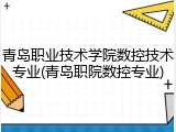 青岛职业技术学院数控技术专业(青岛职院数控专业)