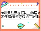 宿州灵璧县寒假初三物理补习课程(灵璧寒假初三物理)